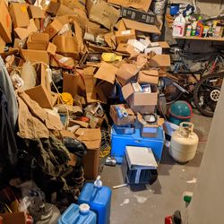 The Junk Movement