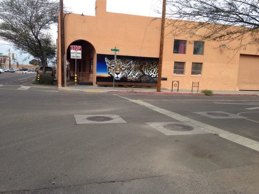 Tucson Bike Tours by null