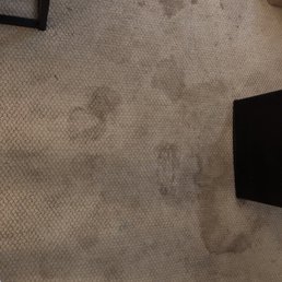 This is a glimpse of the rug in our room. From this picture alone you can see how $400 a night is joke.