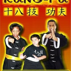 Martial Way Kung-Fu Training Center - Instructing all ages and skill levels!