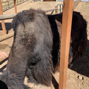 Babby Farms - Zoos Near Me - Caldwell, Idaho