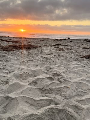 Black's Beach by null