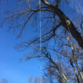 Whitcomb Tree Service - Super high fun rope swing installed - Tree Services Near Me - Peabody, Massachusetts Whitcomb Tree Service - Super high fun rope swing installed - Tree Services Near Me - Peabody, Massachusetts