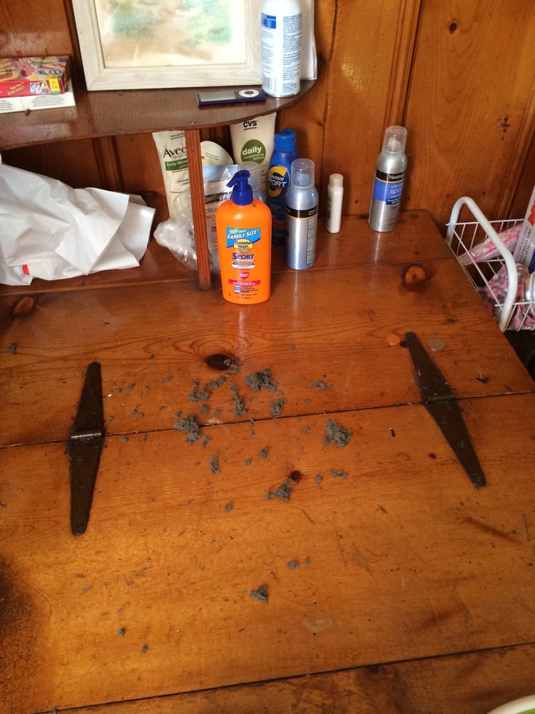 THOROUGHGOOD APPLIANCE AND REPAIR Updated August 2024 4 Black Duck