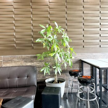 Jasmine Kocha - Coffee & Tea Near Me - San Jose, California Jasmine Kocha - Coffee & Tea Near Me - San Jose, California