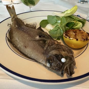 Clark's Oyster Bar - Whole sand dab ($35) - Desserts Near Me - Menlo Park, California Clark's Oyster Bar - Whole sand dab ($35) - Desserts Near Me - Menlo Park, California