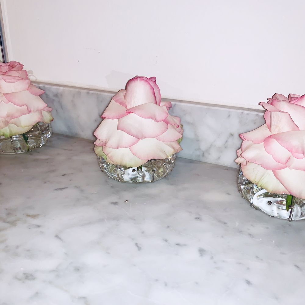 Sea urchin vase with single rose
