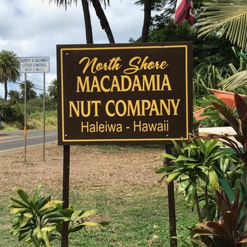 North Shore Macadamia Nut - Come on in - Coffee & Tea Near Me - Haleiwa, Hawaii North Shore Macadamia Nut - Come on in - Coffee & Tea Near Me - Haleiwa, Hawaii
