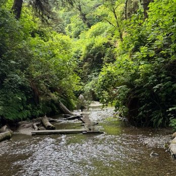 Fern Canyon Trailhead - Parks Near Me