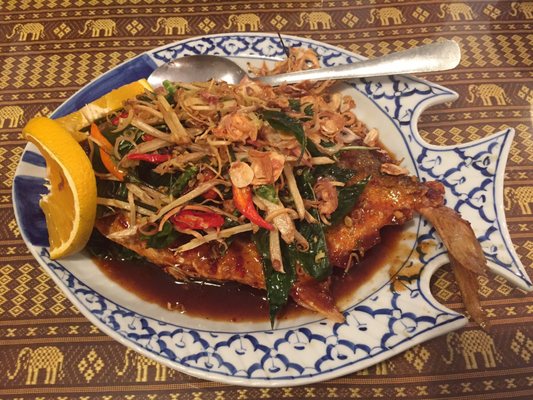 Chiang Mai House Thai Restaurant by null