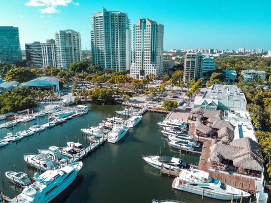 Monty's Coconut Grove by null