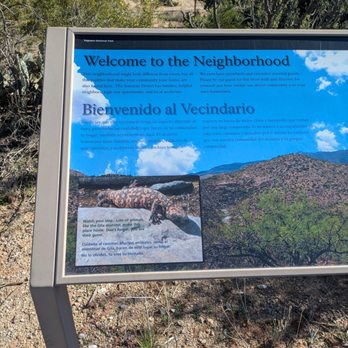 Saguaro National Park - Parks Near Me - Tucson, Arizona Saguaro National Park - Parks Near Me - Tucson, Arizona