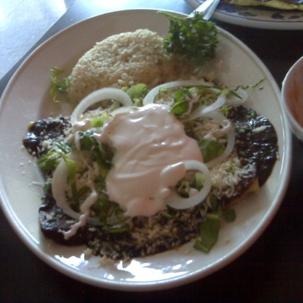 El Tejate  - Black mole enchiladas - Mexican Near Me - Escondido, California