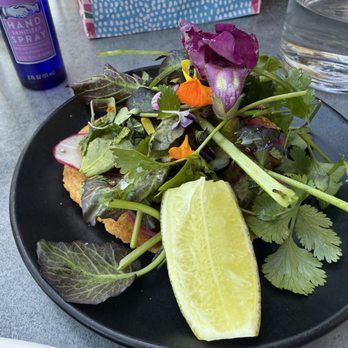 Counter Culture - Avocado crostada - New American Near Me - Tampa, Florida