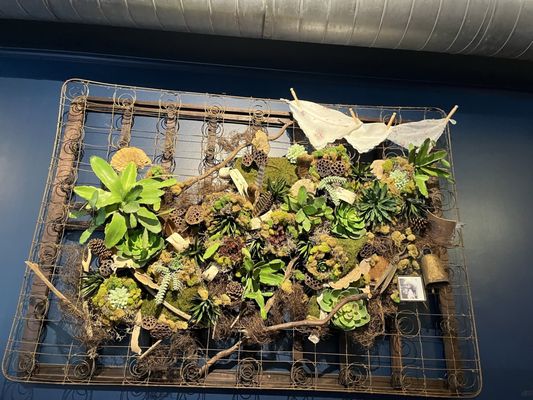 Grace Meat + Three by null