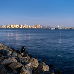 Harbor Island Park - Harbor Island Park