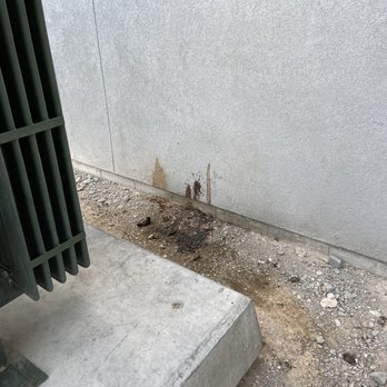 Ely on Fremont - Human waste on building - Apartments Near Me - Las Vegas, Nevada Ely on Fremont - Human waste on building - Apartments Near Me - Las Vegas, Nevada