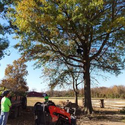 Cordell tree Service - The team