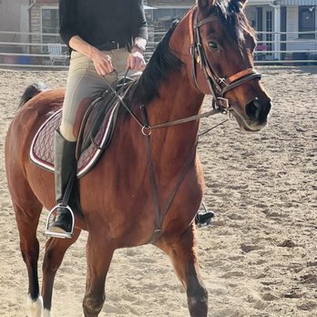 Lil Barn Riding School - Horseback Riding Near Me