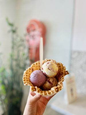 Jeni's Splendid Ice Creams by null