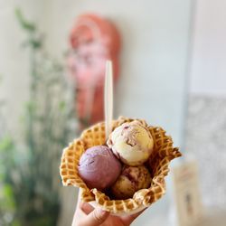 Jeni's Splendid Ice Creams - Brambleberry Crisp Pint, Wildberry Lavender Pint, Rainbow BFY Pint in a waffle bowl