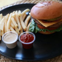 Gyro Kitchen Express - DC Burger (Beef or Chicken) with Fries.