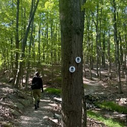 Franny Reese State Park