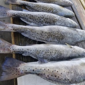 Go Topless Fishing Charters - Dinner - Fishing Near Me - Biloxi, Mississippi Go Topless Fishing Charters - Dinner - Fishing Near Me - Biloxi, Mississippi