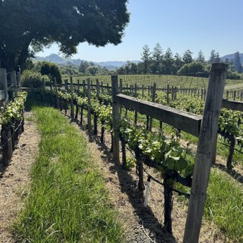 Goldeneye Winery - Wineries Near Me - Philo, California Goldeneye Winery - Wineries Near Me - Philo, California
