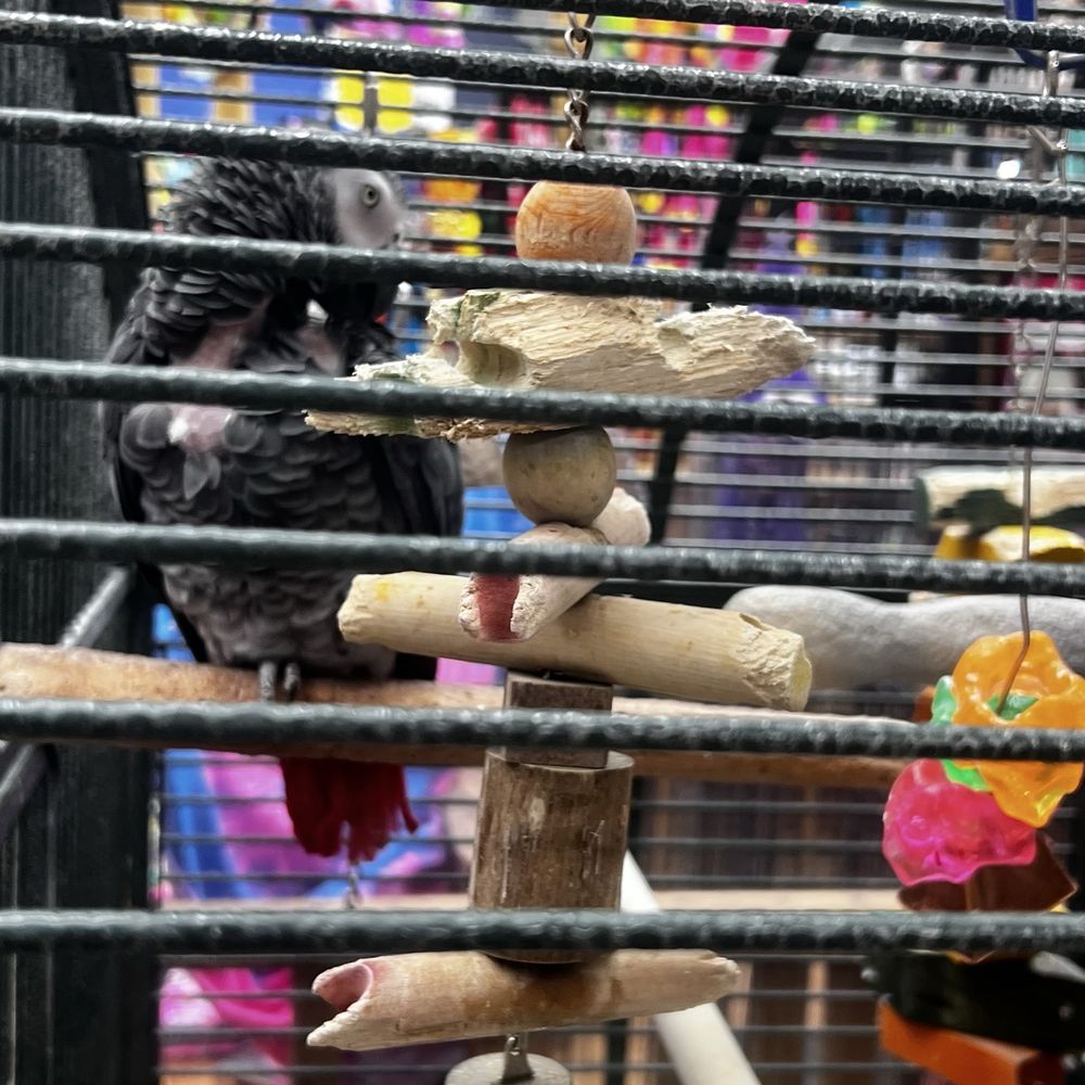 Petsmart Panama City Beach, FL - Last Updated January 2026 - Yelp, image size:1000x1000