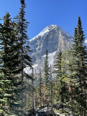 Plain of Six Glaciers Teahouse by null