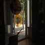 Photo of Smiley