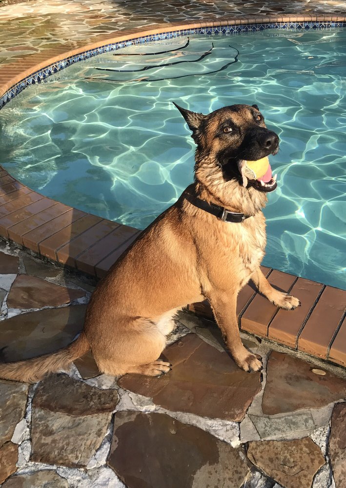 TUTTLE’S POOL COMPANY Updated October 2024 18 Reviews 8785 SW