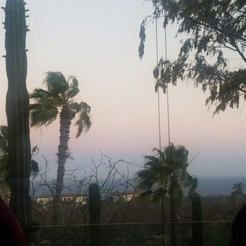 Toro Cabo - Diners Near Me - Cabo San Lucas, BCS Toro Cabo - Diners Near Me - Cabo San Lucas, BCS