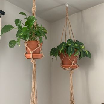 Our Well House - Plants, plants everywhere! Macrame hanging planters in the corner of one of the rooms. - Chiropractors Near Me - Frisco, Texas Our Well House - Plants, plants everywhere! Macrame hanging planters in the corner of one of the rooms. - Chiropractors Near Me - Frisco, Texas