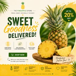 The Pineapple Store - mention this post for your discount