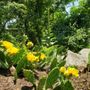 Photo of Papa Fresh Landscape