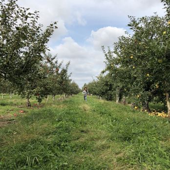 Applewood Orchard - Pick Your Own Farms Near Me - Lakeville, Minnesota