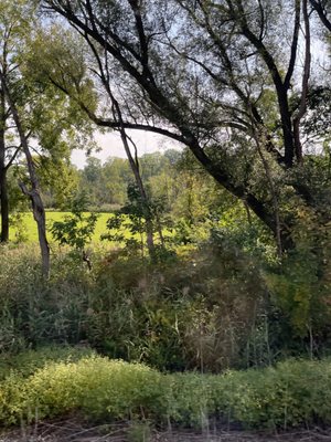 Albany-Rensselaer Amtrak Station by null