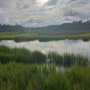 Photo of The Edge on Noisette Creek