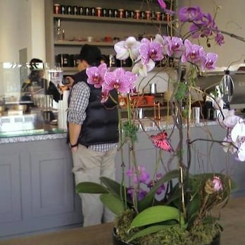 Rocanini Coffee Roasters - Coffee Roasteries Near Me - Richmond, British Columbia