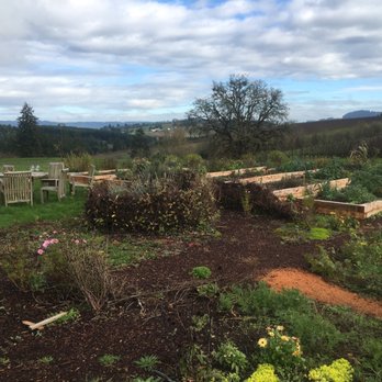 Soter Vineyards - Beautiful grounds with a cool vegetable garden. - Wineries Near Me - Carlton, Oregon Soter Vineyards - Beautiful grounds with a cool vegetable garden. - Wineries Near Me - Carlton, Oregon