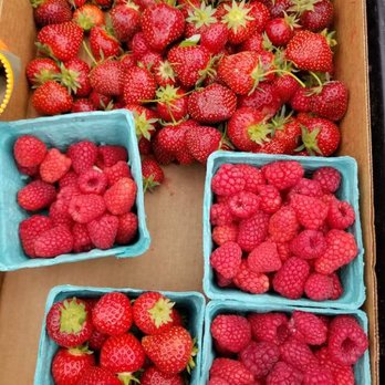 Bailey Family Farm - Pick Your Own Farms Near Me - Snohomish, Washington