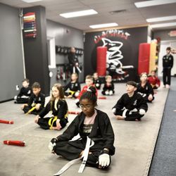 Action Karate