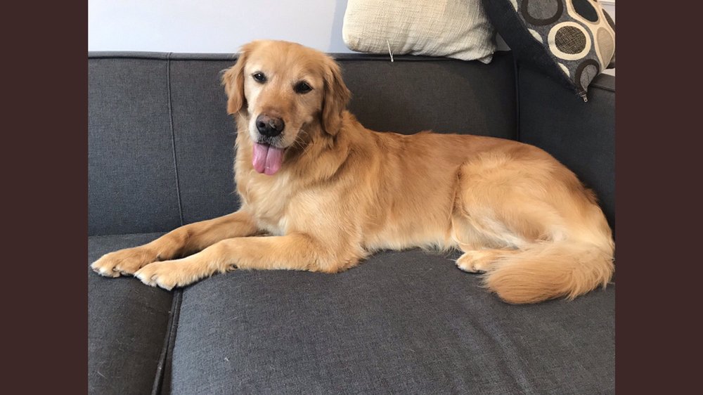 Anchor Point Professional Counseling - grief counselor in North Bethesda, MD