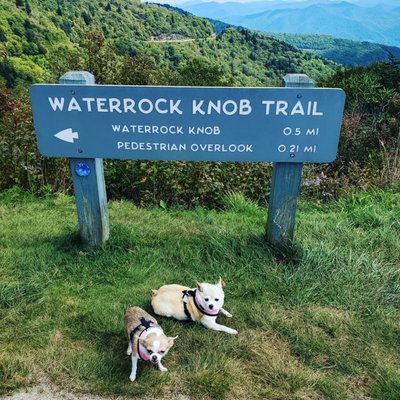Waterrock Knob by null