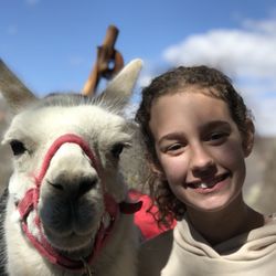 Wild Earth Llama Adventures