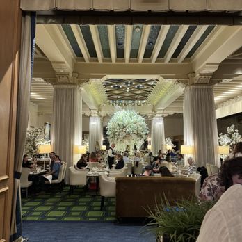 Palm Court - Bars Near Me - Chicago, Illinois