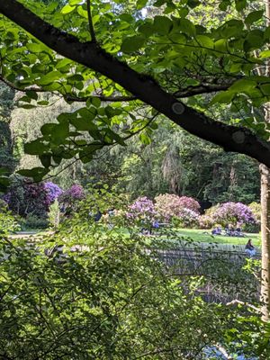 Laurelhurst Park by null