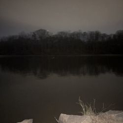 Royal Lake Park